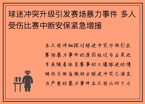 球迷冲突升级引发赛场暴力事件 多人受伤比赛中断安保紧急增援